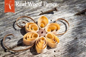 Real Wood Paper Flower using Maple Fleece and Walnut Wood Back
