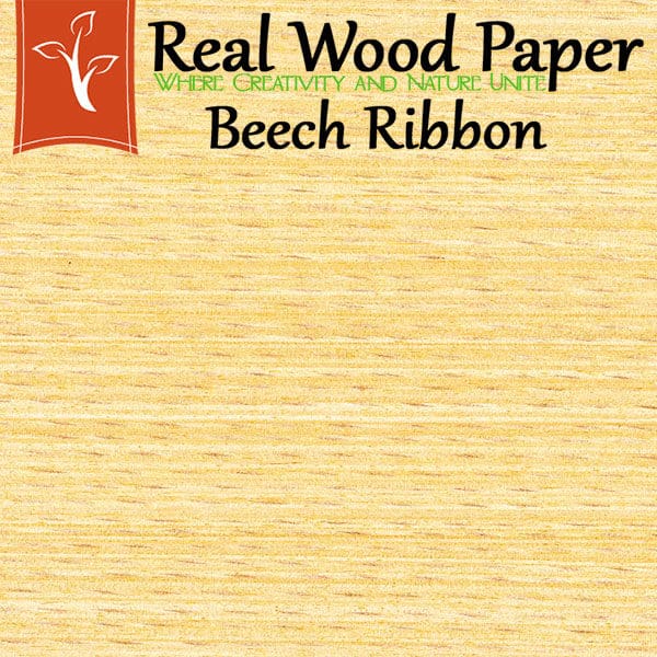 beech ribbon wood paper