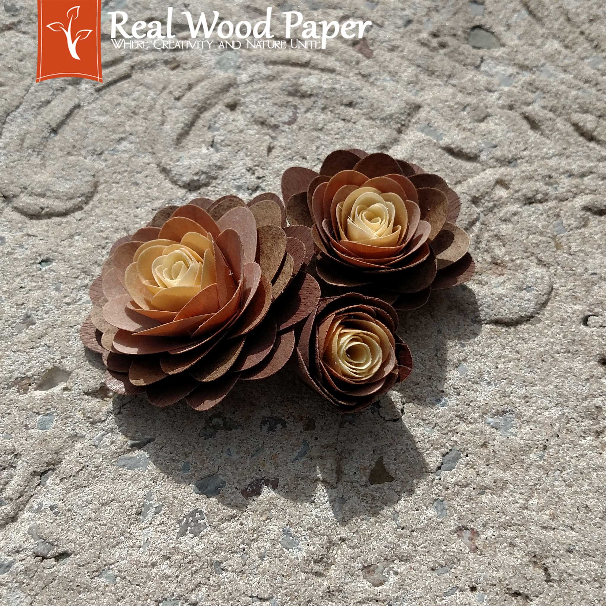 DIY Real Wood Paper Roses