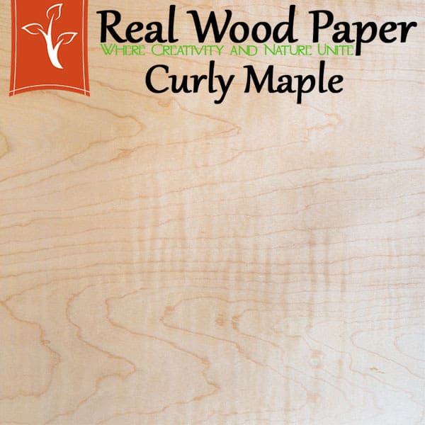 Curly Maple Wood Sheet