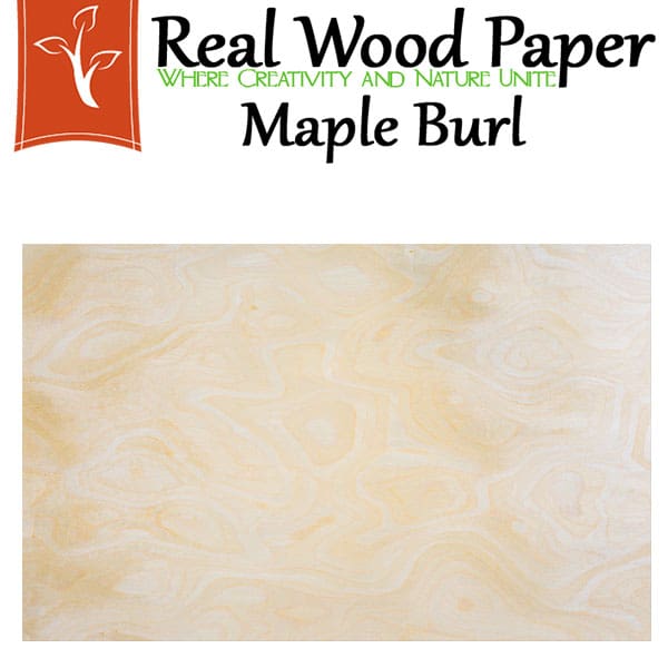 Maple Burl Wood Longgrain