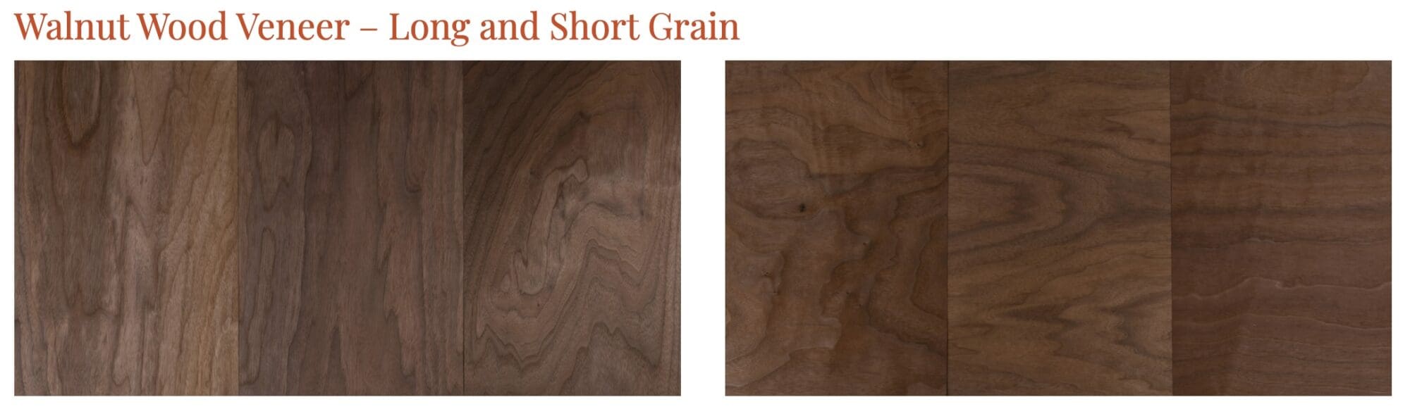 Walnut Wood Veneer Long and Short Grain