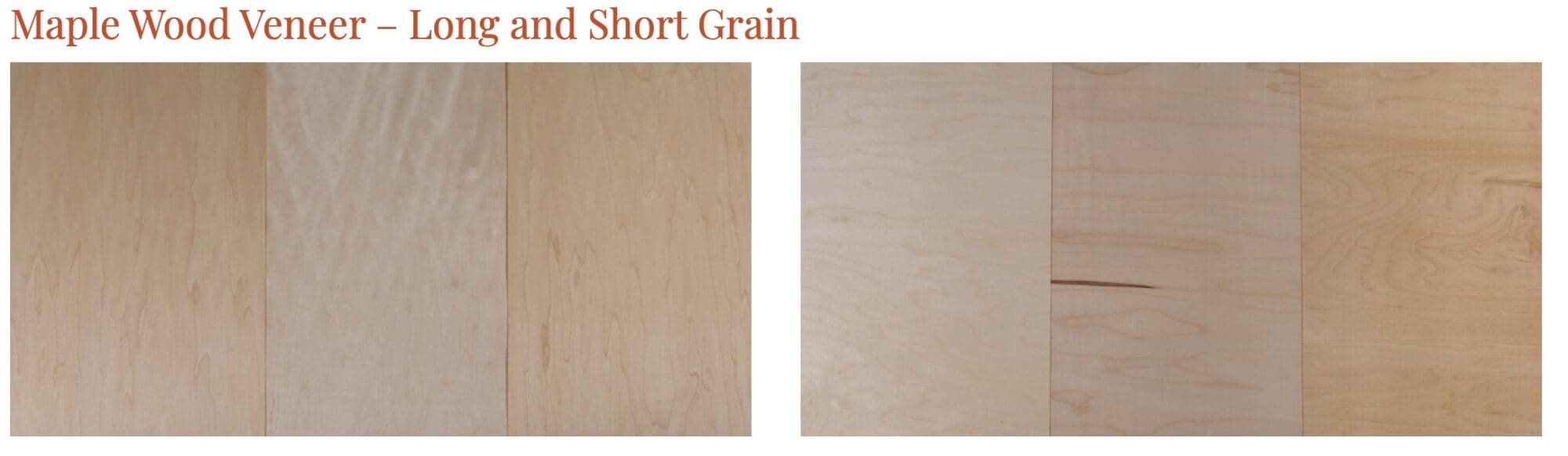 Maple Wood Veneer Long and Short Grain