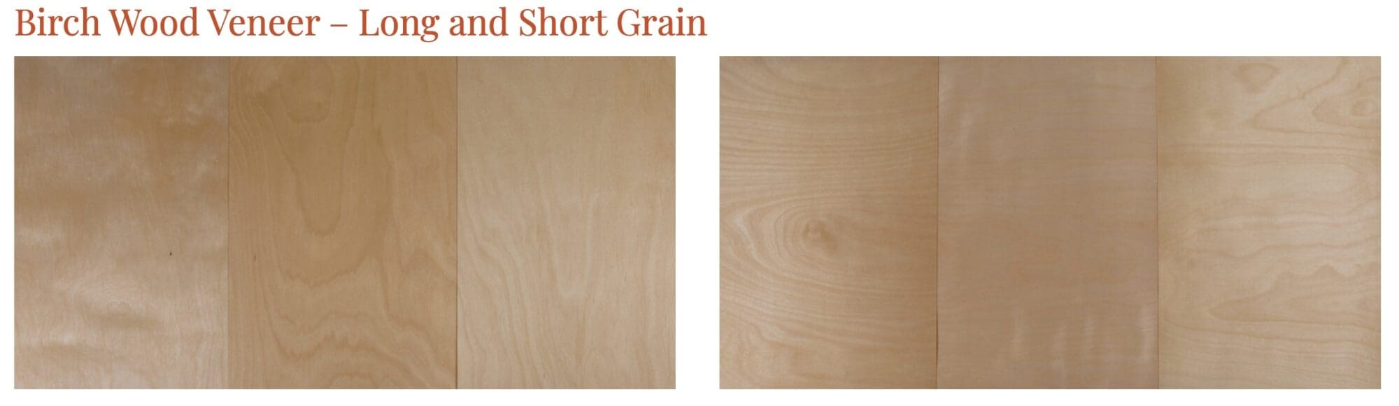 Birch Wood Veneer Long and Short Grain