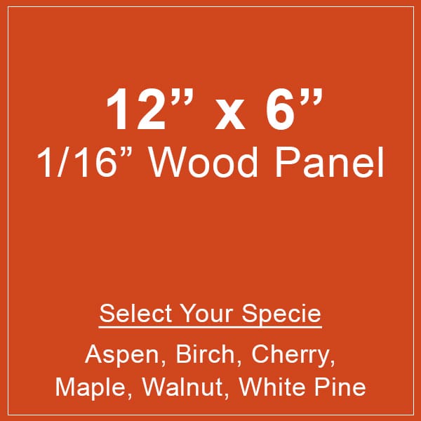 Wood Paper Remnant 12x6 Panel