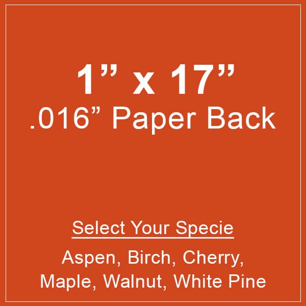 Wood Paper Remnant 1x17 Paper
