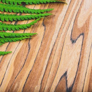 Exotic Wood Veneer Sheets