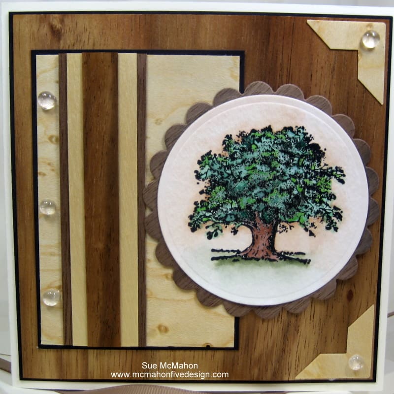 Hickory Birdseye Walnut Birch Wood Papers by Sue McMahon